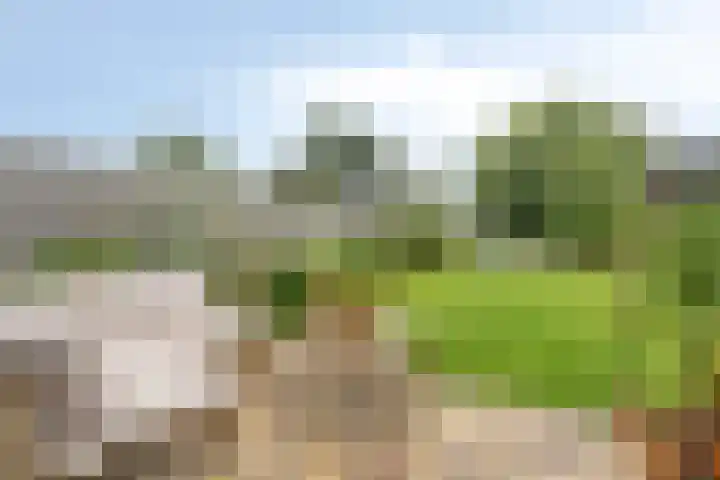 Meiraap 3 Roelofarendsveen thumbnail 20