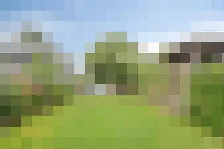 Meiraap 3 Roelofarendsveen thumbnail 21