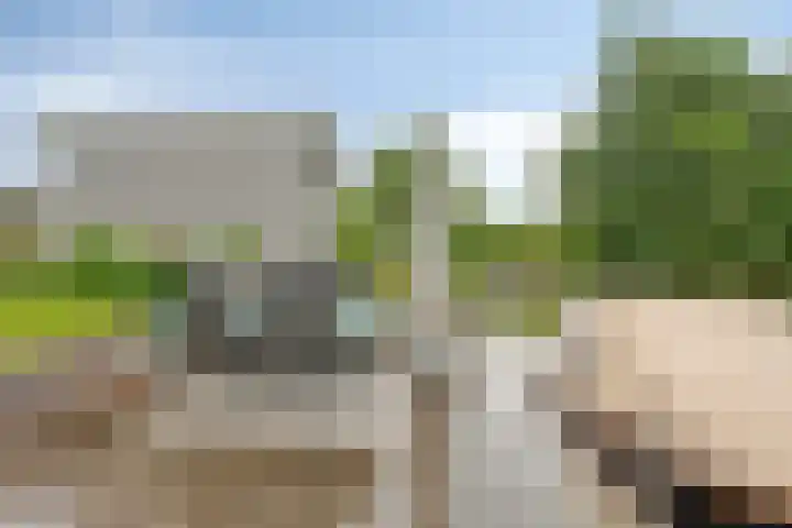 Meiraap 3 Roelofarendsveen thumbnail 22