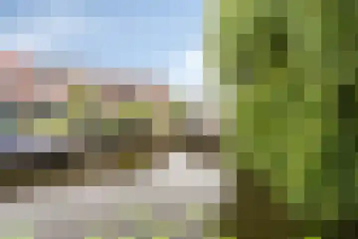 Meiraap 3 Roelofarendsveen thumbnail 23