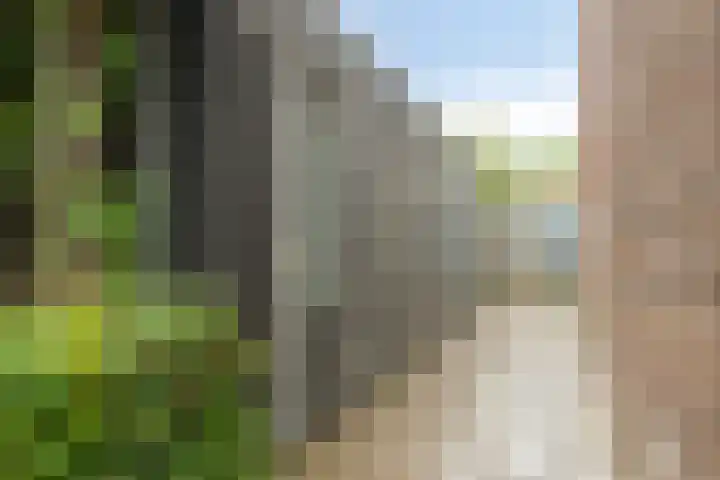 Meiraap 3 Roelofarendsveen thumbnail 24