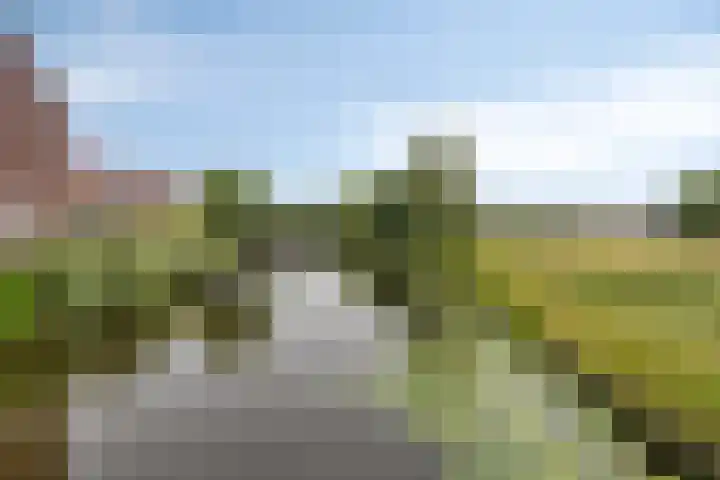 Meiraap 3 Roelofarendsveen thumbnail 25