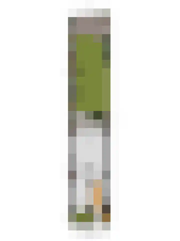 Meiraap 3 Roelofarendsveen thumbnail 26
