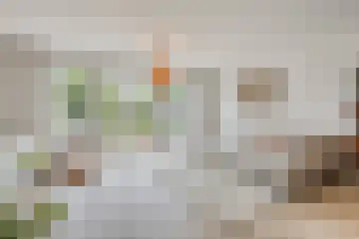 Meiraap 3 Roelofarendsveen thumbnail 4