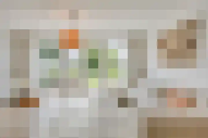 Meiraap 3 Roelofarendsveen thumbnail 5
