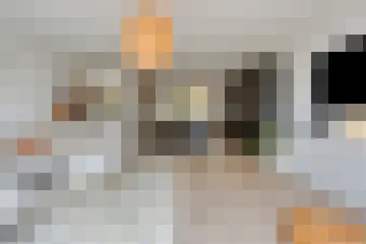 Meiraap 3 Roelofarendsveen thumbnail 6
