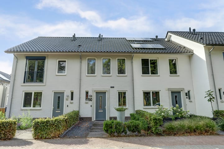 Meiraap 50 in Diessen foto