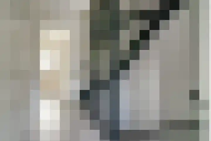Meiraap 50 Diessen thumbnail 11