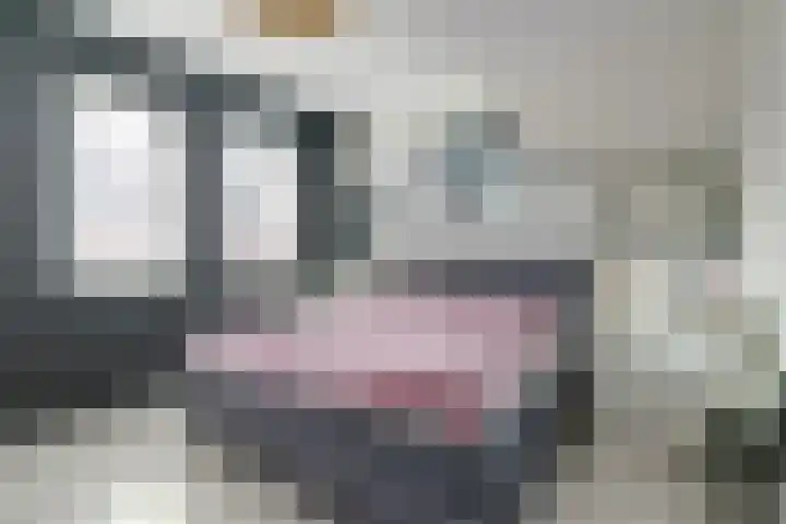 Meiraap 50 Diessen thumbnail 12