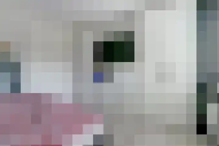 Meiraap 50 Diessen thumbnail 13