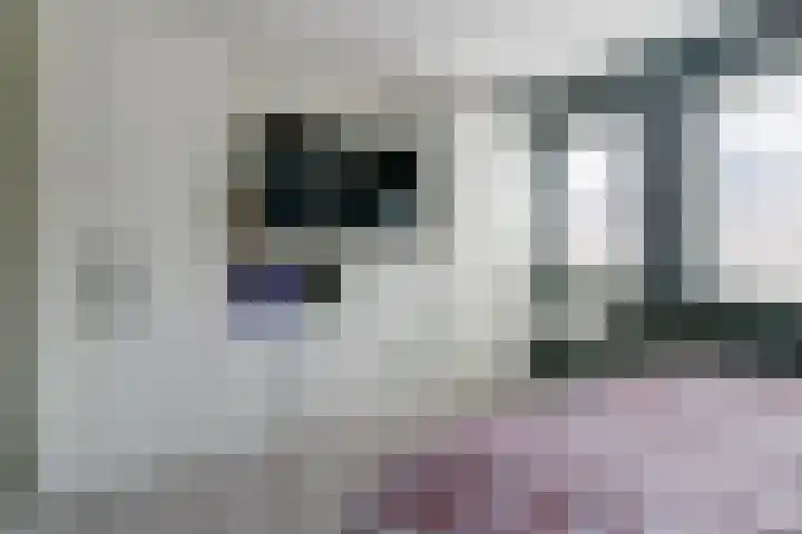 Meiraap 50 Diessen thumbnail 14