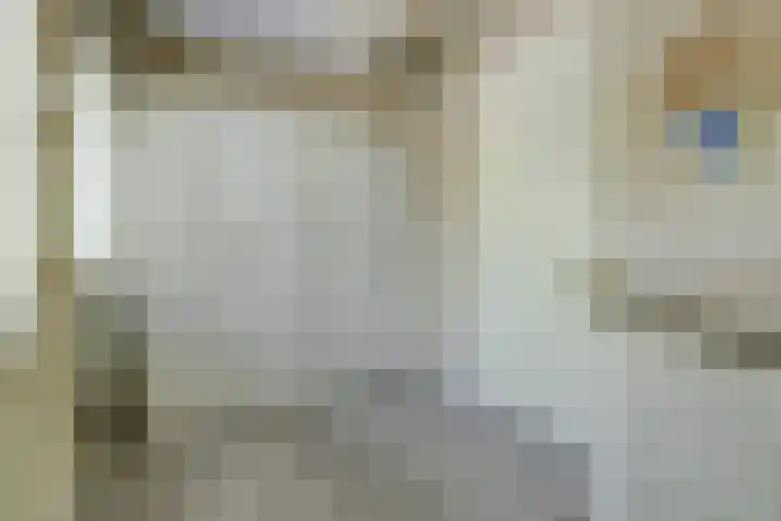 Meiraap 50 Diessen thumbnail 16