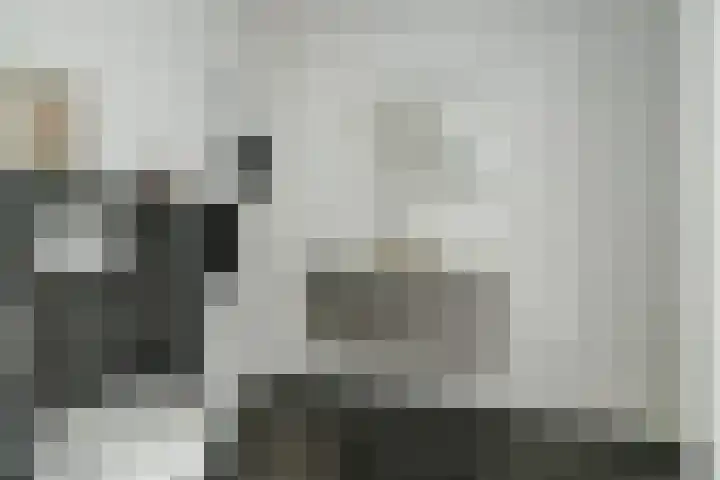 Meiraap 50 Diessen thumbnail 17