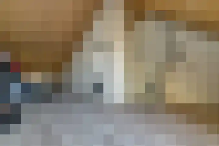 Meiraap 50 Diessen thumbnail 19