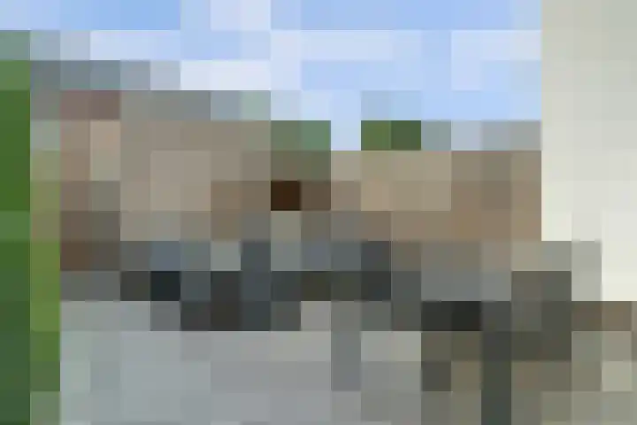 Meiraap 50 Diessen thumbnail 21