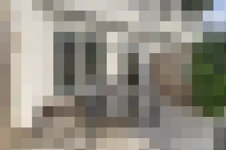 Meiraap 50 Diessen thumbnail 22