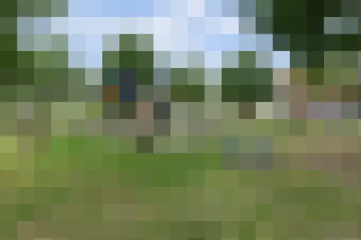 Meiraap 50 Diessen thumbnail 23