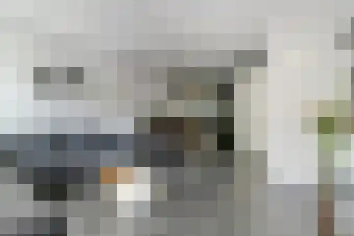 Meiraap 50 Diessen thumbnail 5