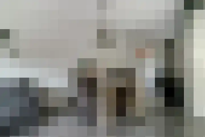 Meiraap 50 Diessen thumbnail 6