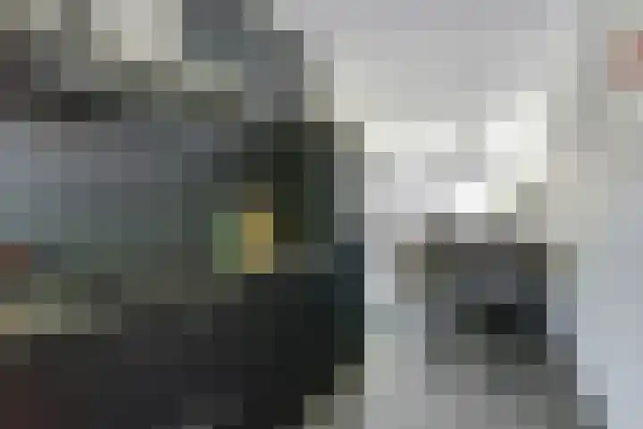 Meiraap 50 Diessen thumbnail 8