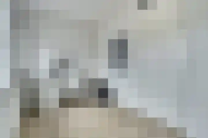 Meiraap 58 Diessen thumbnail 21