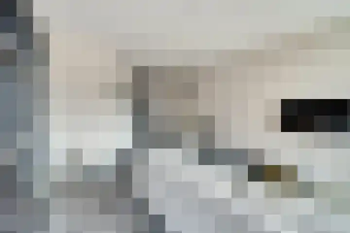 Meiraap 58 Diessen thumbnail 7