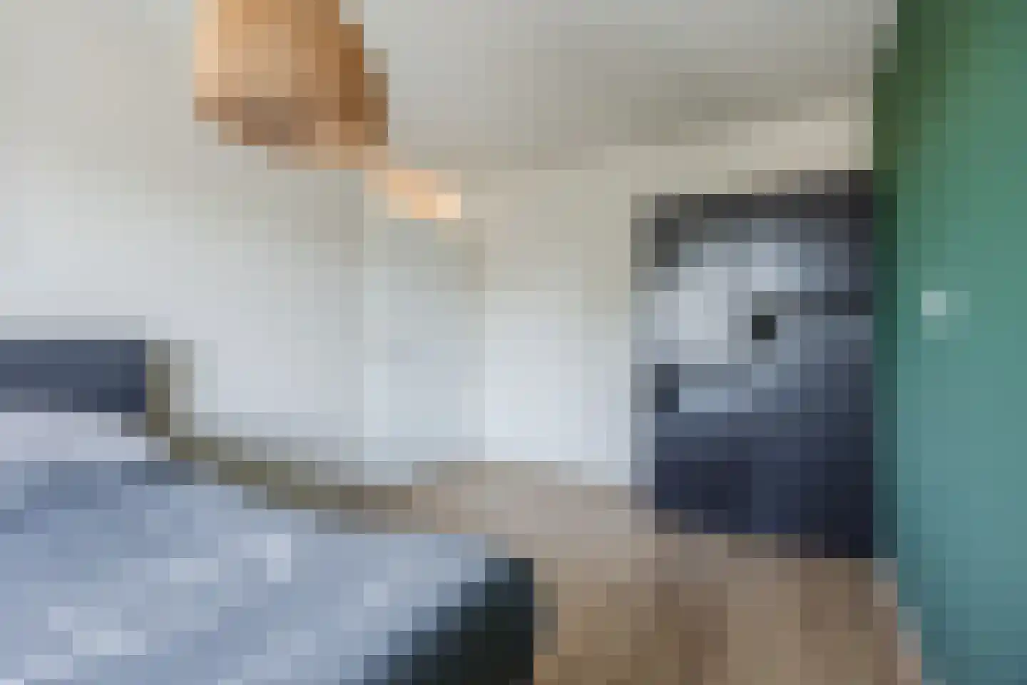 Meireweikes 20 Oud Gastel thumbnail 24