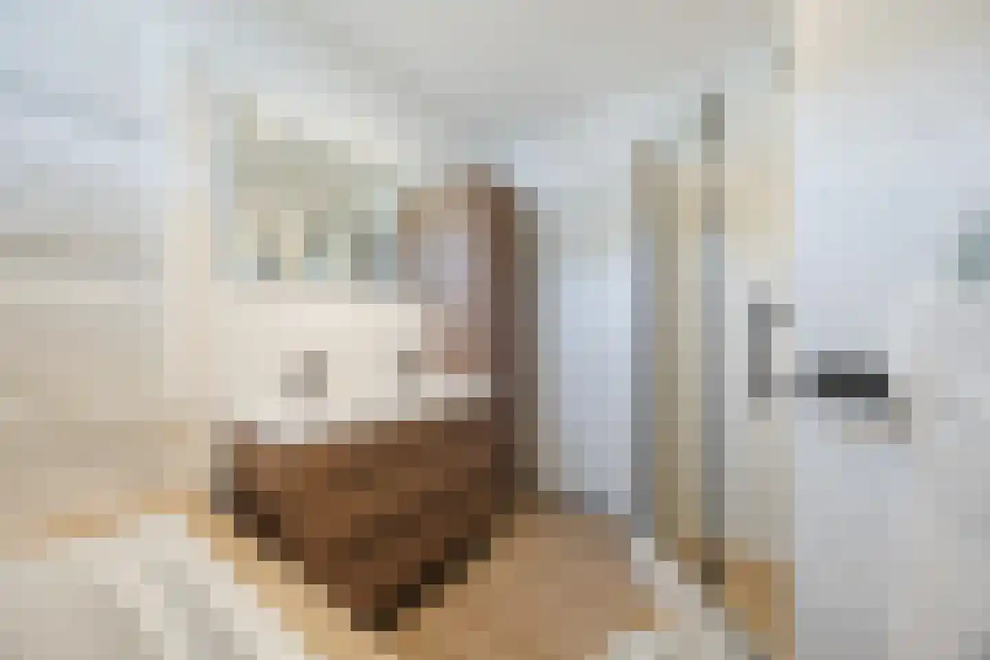 Meireweikes 20 Oud Gastel thumbnail 30