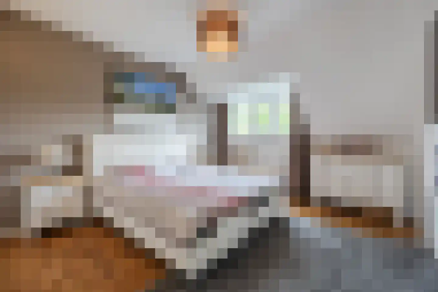 Meireweikes 3 Oud Gastel thumbnail 30