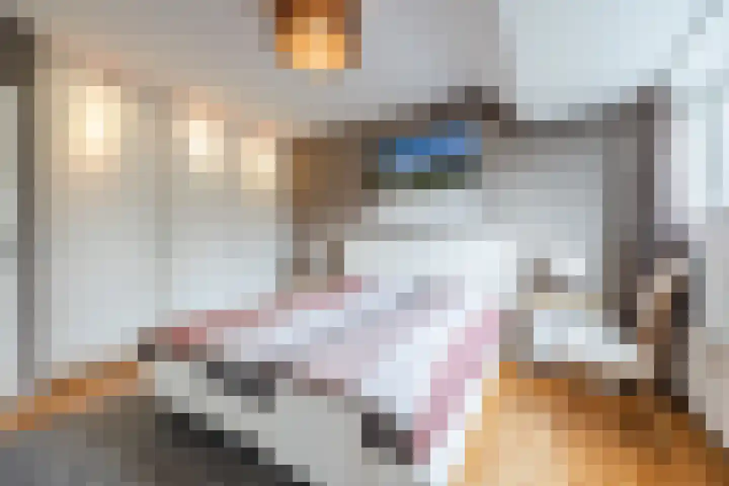 Meireweikes 3 Oud Gastel thumbnail 31