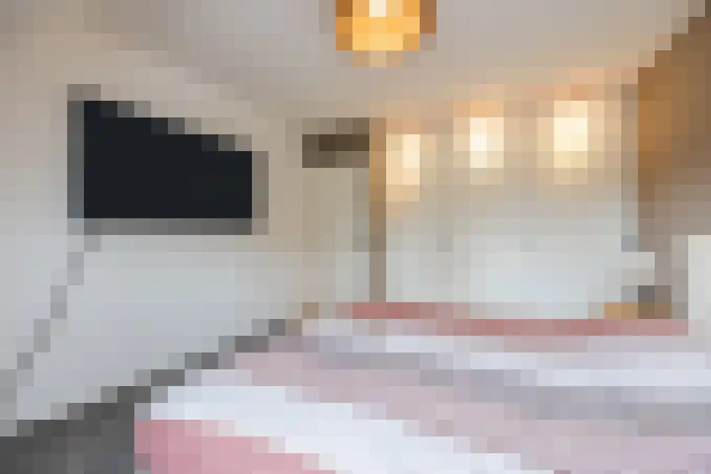 Meireweikes 3 Oud Gastel thumbnail 32