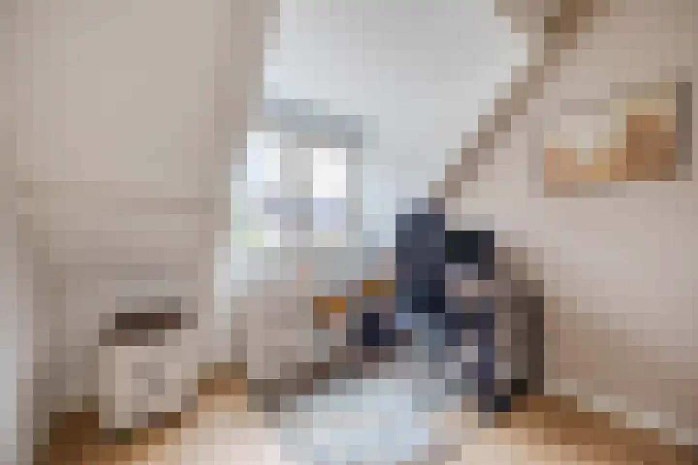 Meireweikes 3 Oud Gastel thumbnail 40
