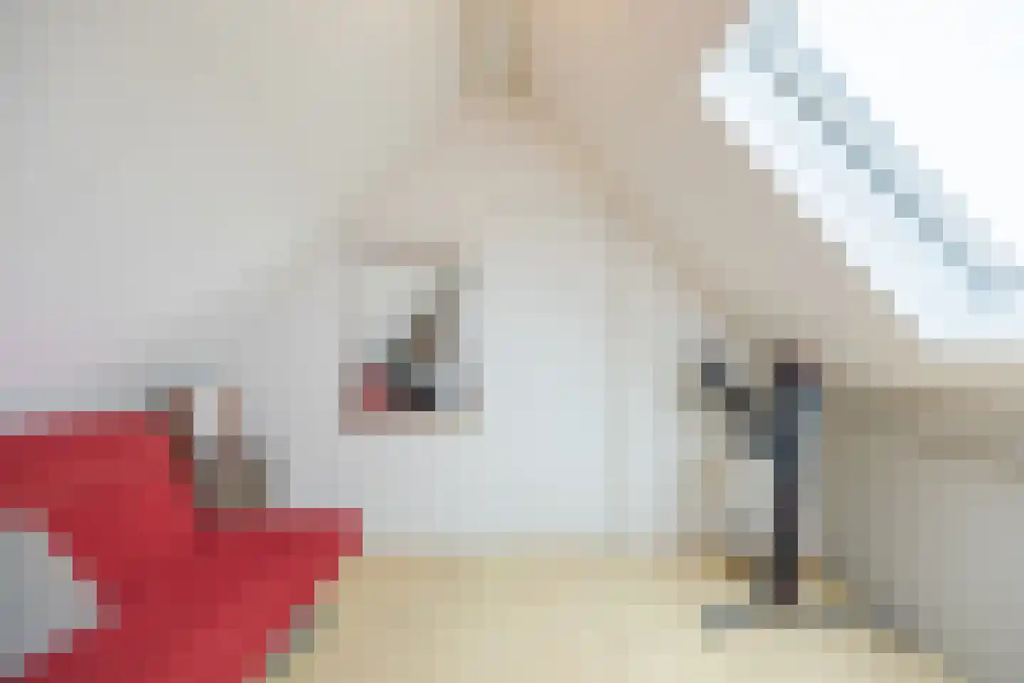 Meireweikes 3 Oud Gastel thumbnail 50