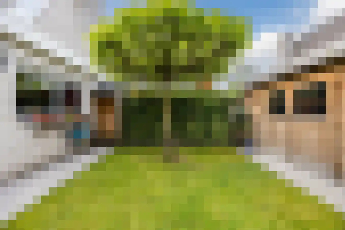 Meireweikes 3 Oud Gastel thumbnail 58