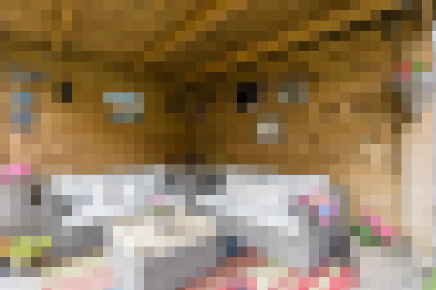Meireweikes 3 Oud Gastel thumbnail 59