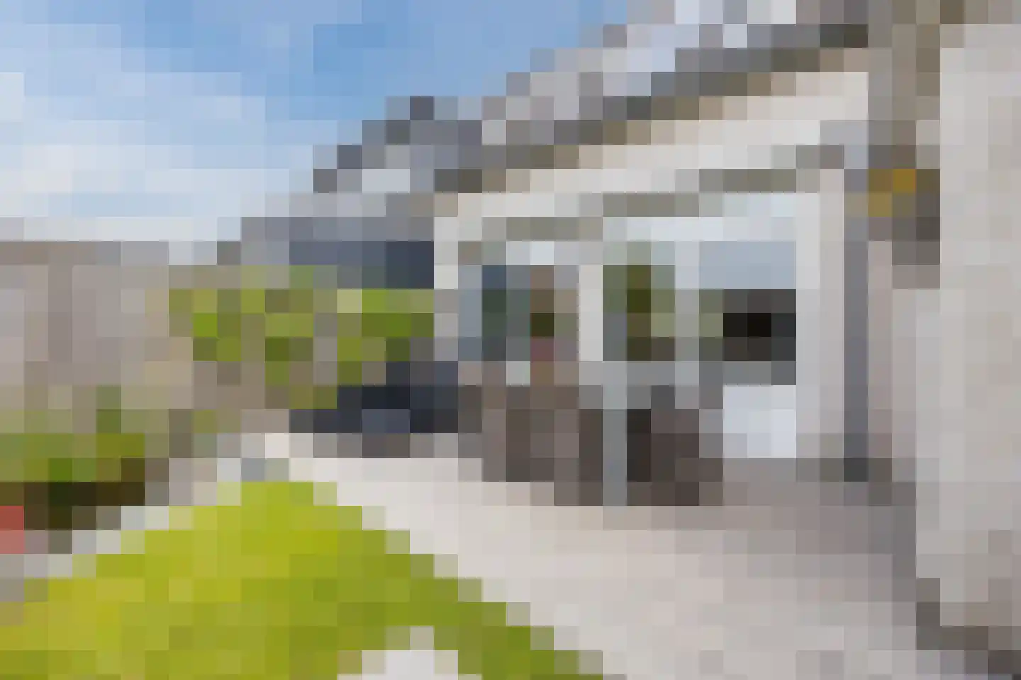 Meireweikes 3 Oud Gastel thumbnail 60