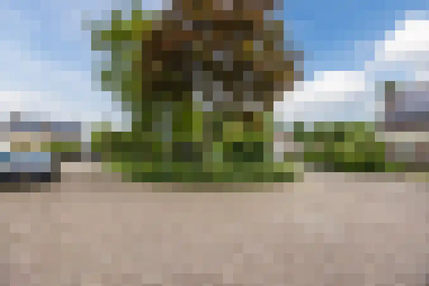 Meireweikes 3 Oud Gastel thumbnail 63