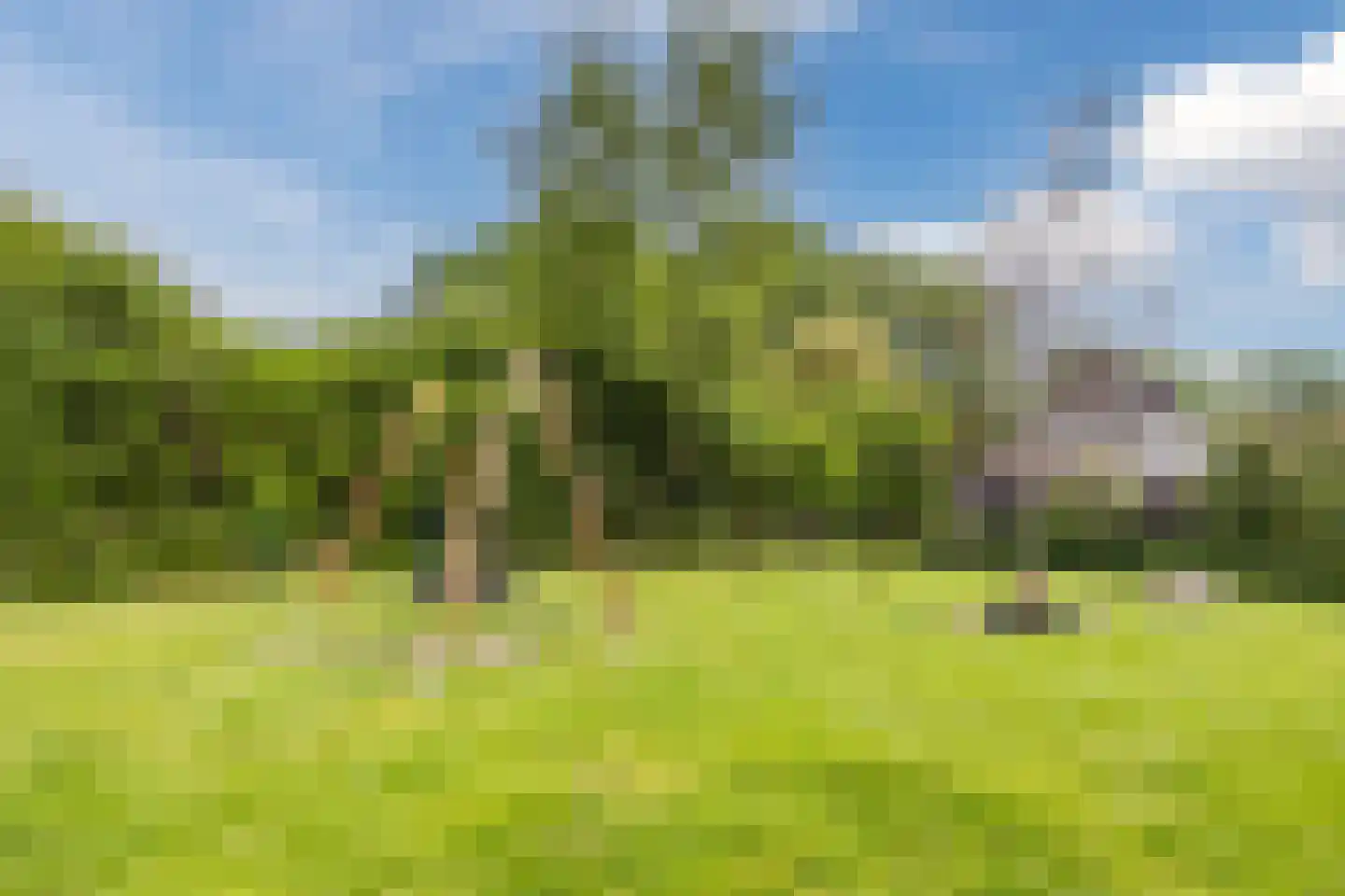 Meireweikes 3 Oud Gastel thumbnail 66