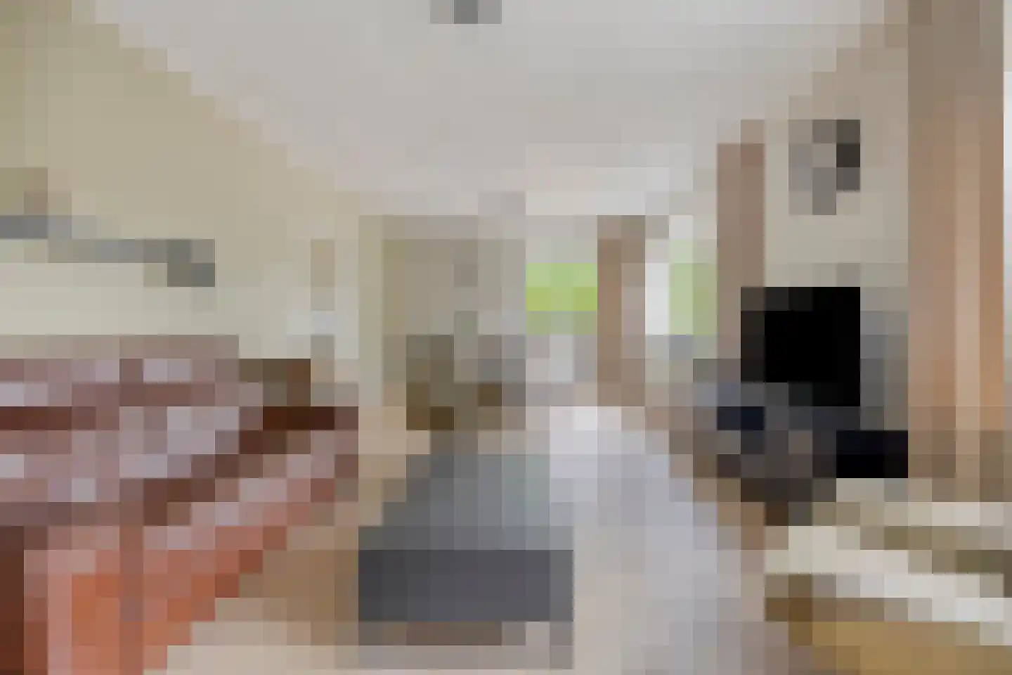Meirseweg 16 Zundert thumbnail 11