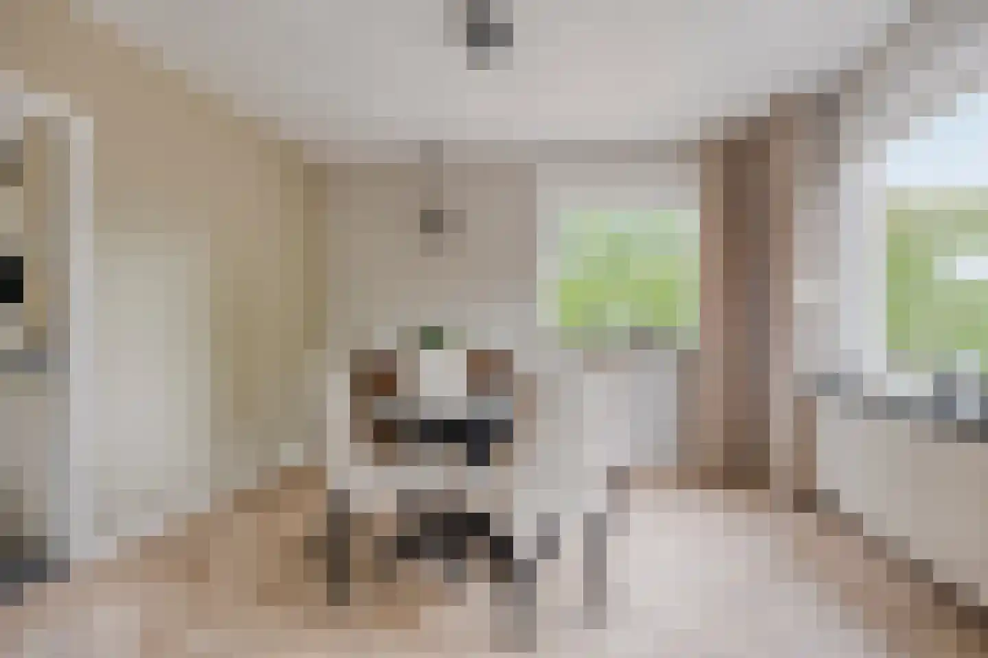 Meirseweg 16 Zundert thumbnail 13