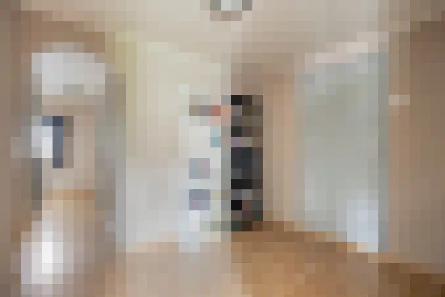 Meirseweg 16 Zundert thumbnail 21