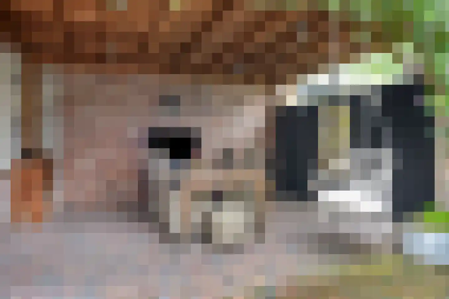 Meirseweg 16 Zundert thumbnail 37
