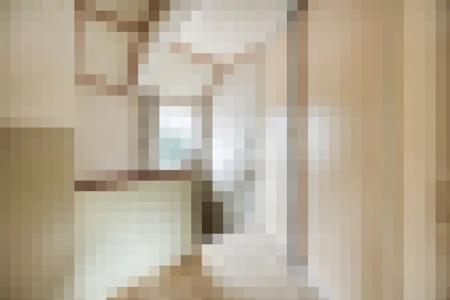 Meirstraat 16 Oud Gastel thumbnail 40