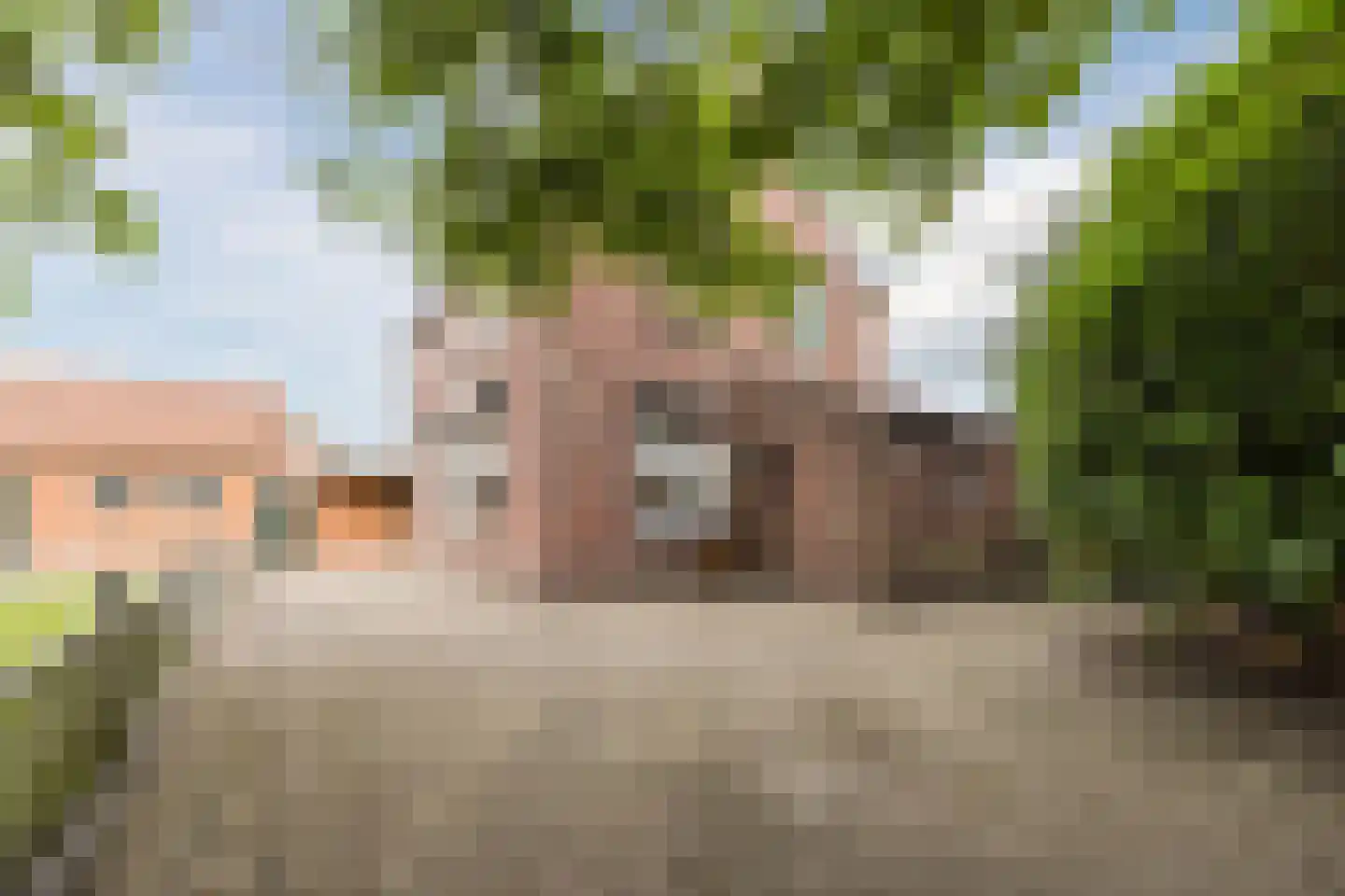Meirstraat 16 Oud Gastel thumbnail 47
