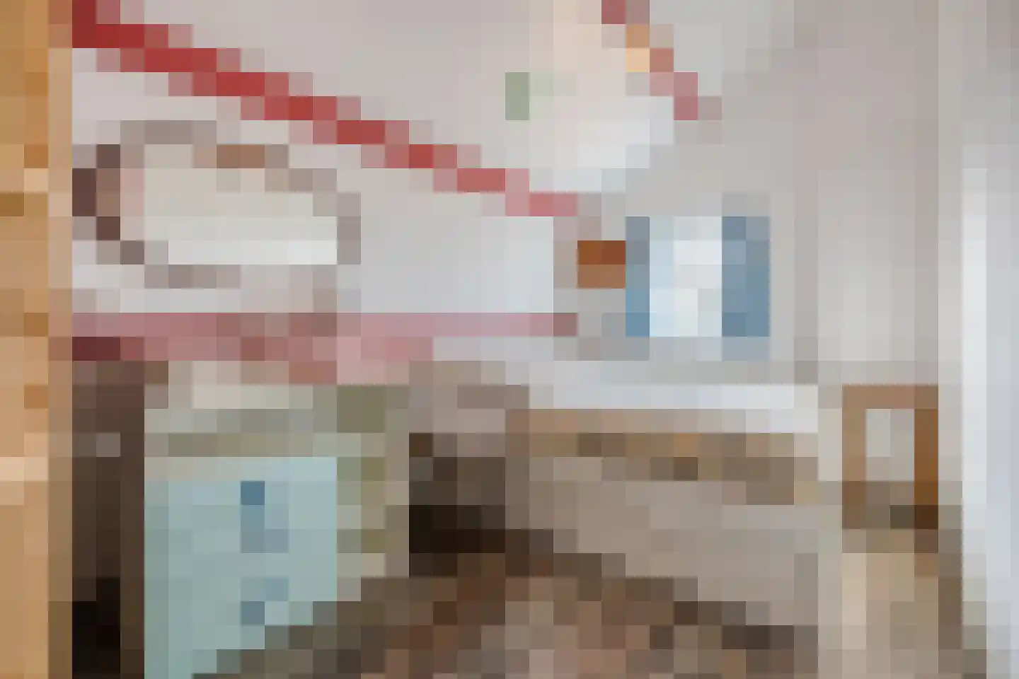 Meirstraat 34 Oud Gastel thumbnail 30