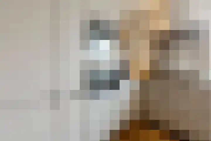Meirstraat 51 a Oud Gastel thumbnail 30