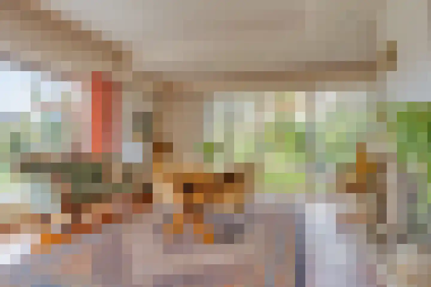 Meirstraat 79 Oud Gastel thumbnail 11