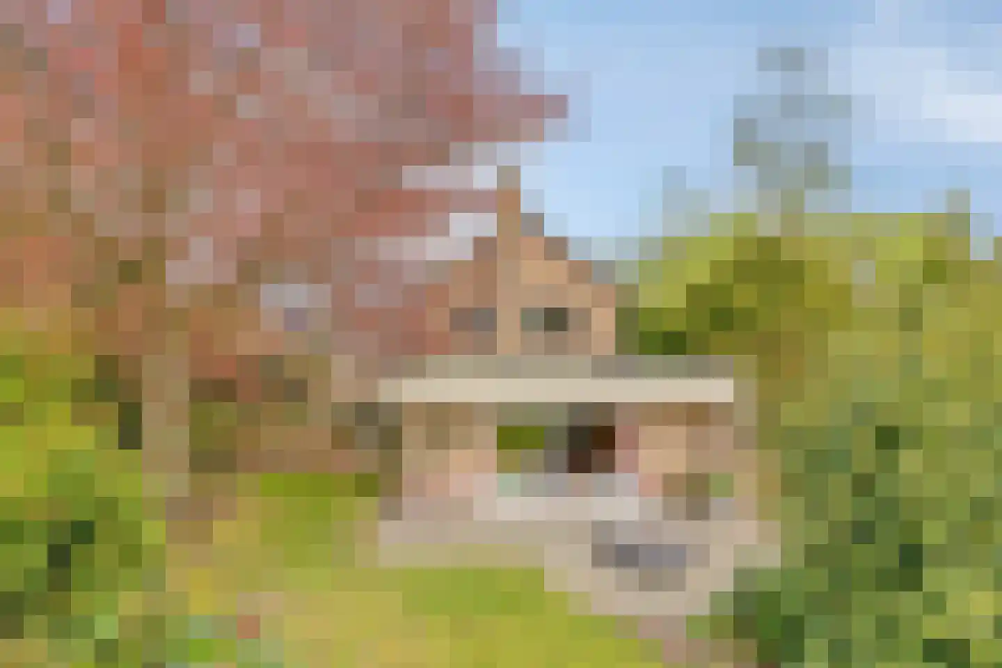 Meirstraat 79 Oud Gastel thumbnail 39