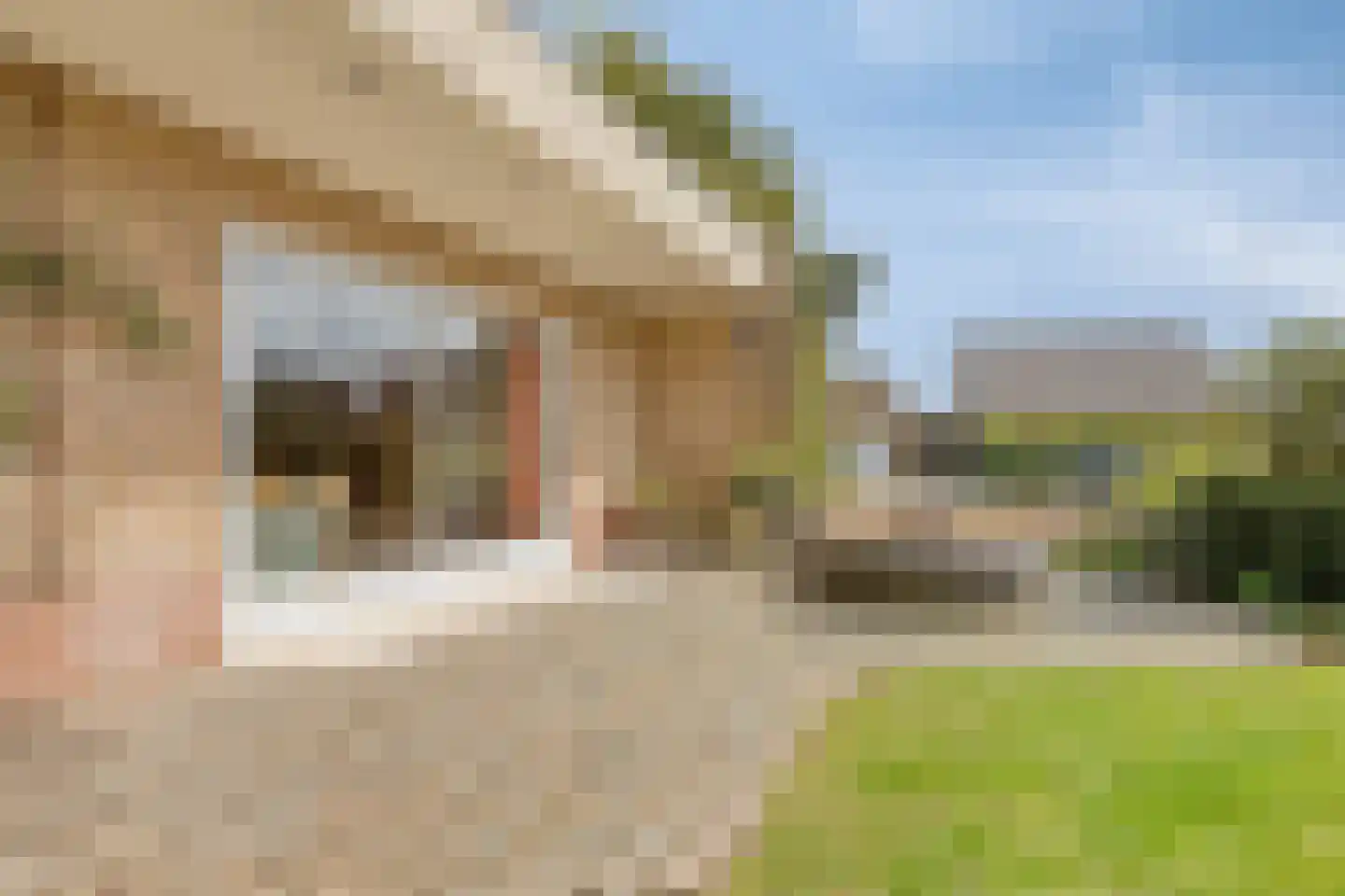 Meirstraat 79 Oud Gastel thumbnail 40