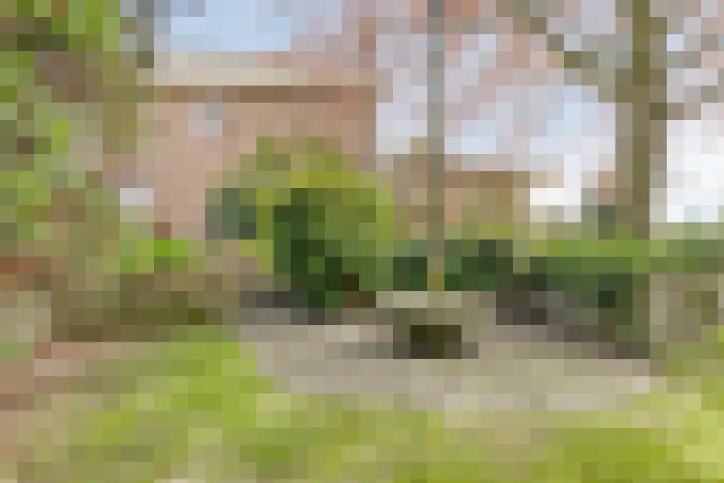 Meirstraat 79 Oud Gastel thumbnail 45